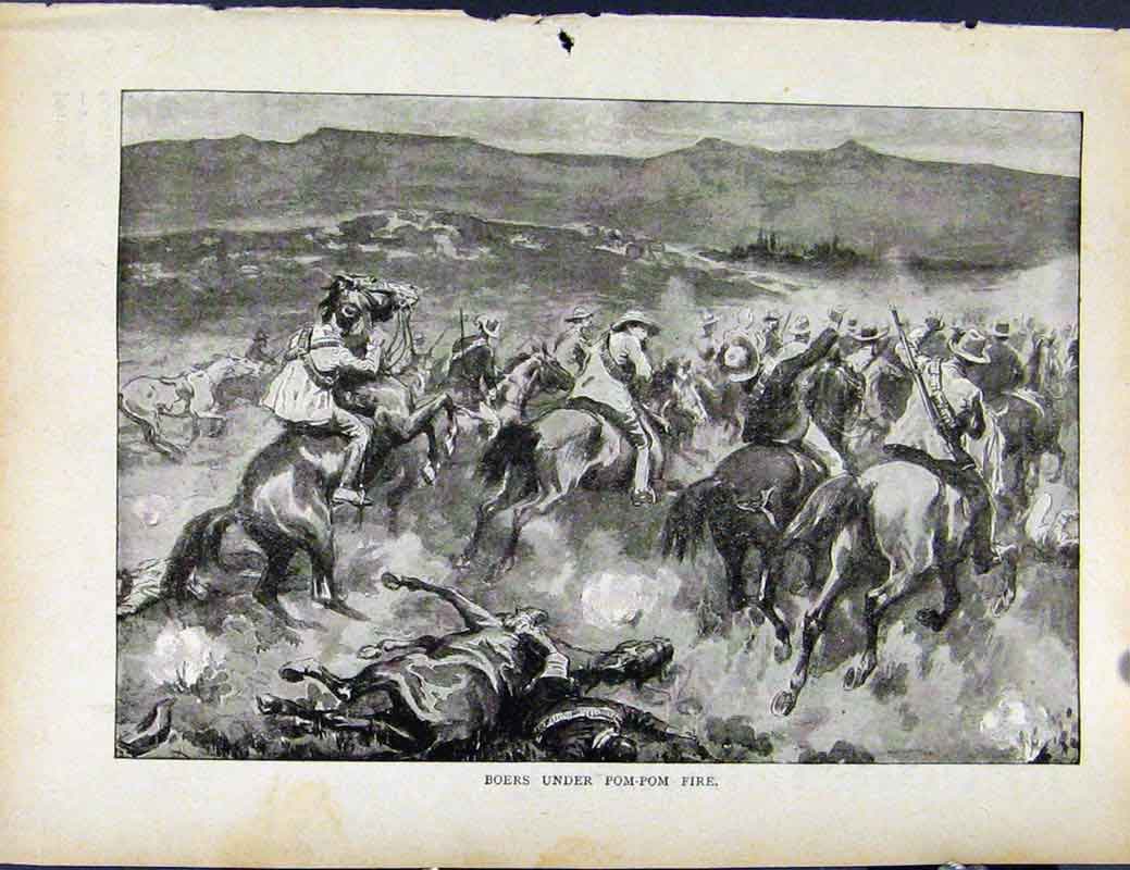 Original Old Antique Print Boer War By Richard Danes Boers Under Pom Pom Fire