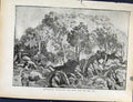 Original Old Antique Print Boer War By Richard Danes Rhodesians Attacking Boer