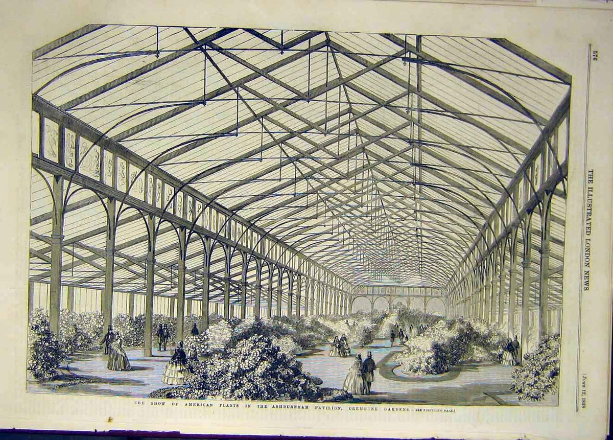 Old Antique Print 1858 American Plants Show Ashburnham Pavilion Cremorne 19th