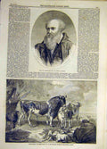 Original Old Antique Print 1859 Portrait Ward Artist Cattle Piece Fine Art 19th