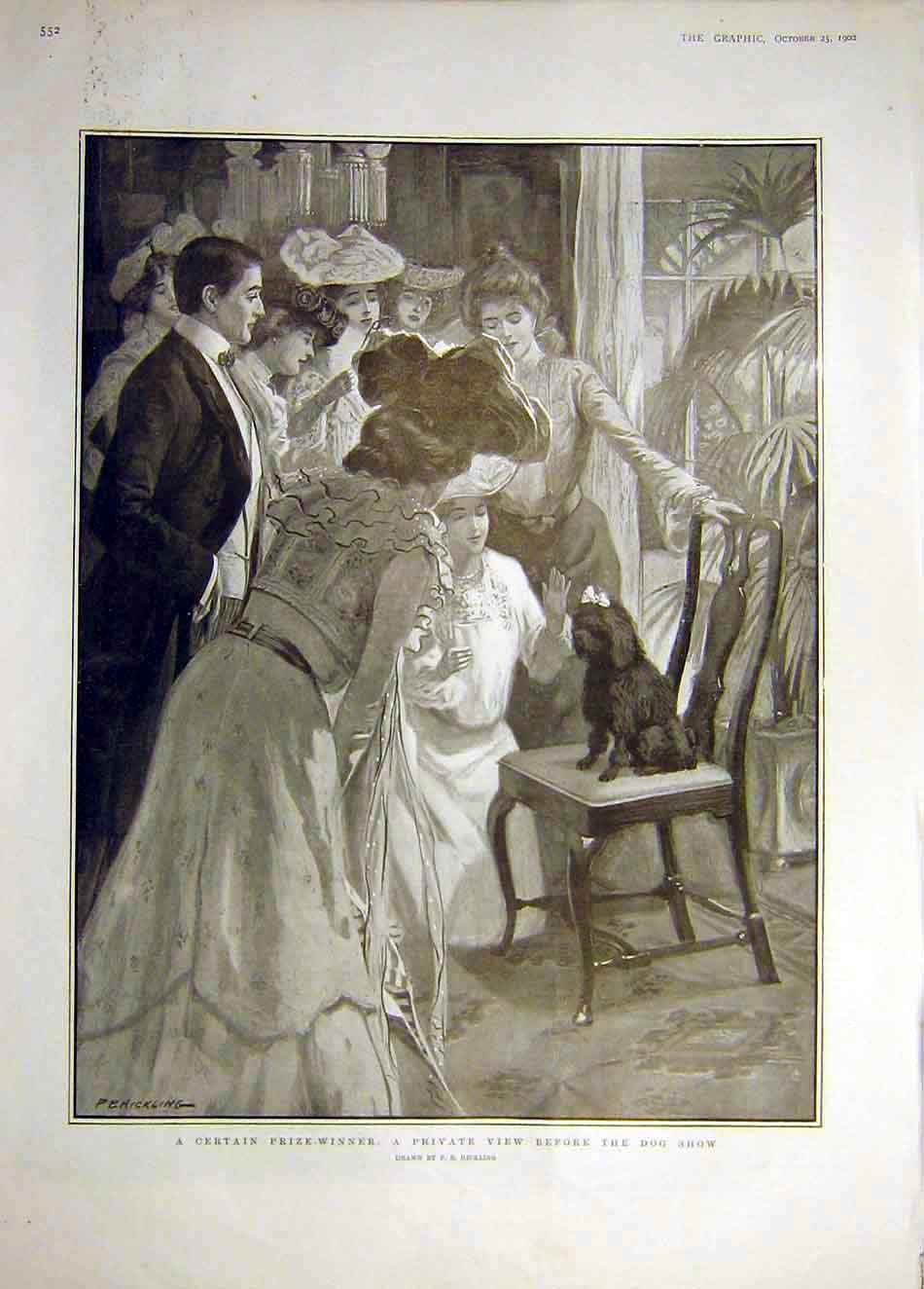 Original Old Antique Print 1902 Prize-Winner Dog Show Hickling 20th Century