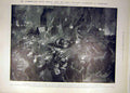 Original Old Antique Print 1902 Chamberlain South-Africa Birmingham Banquet 20th