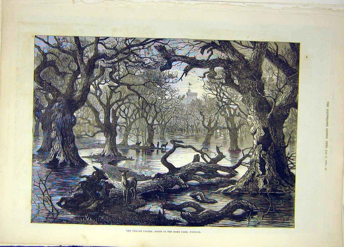 Original Old Antique Print 1879 Thames Flood Scene Home-Park Windsor Animals