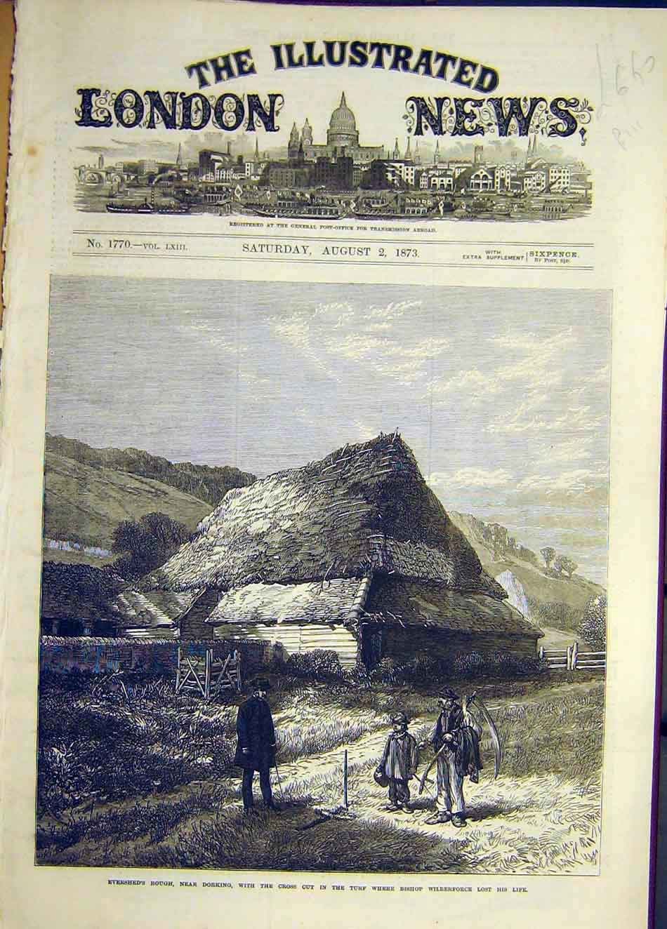 Original Old Antique Print 1873 Evershed'S Rough Dorking Wilberforce Victorian