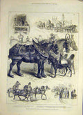 Original Old Antique Print 1882 May-Day Procession Horses Newcastle-On-Tyne 19th