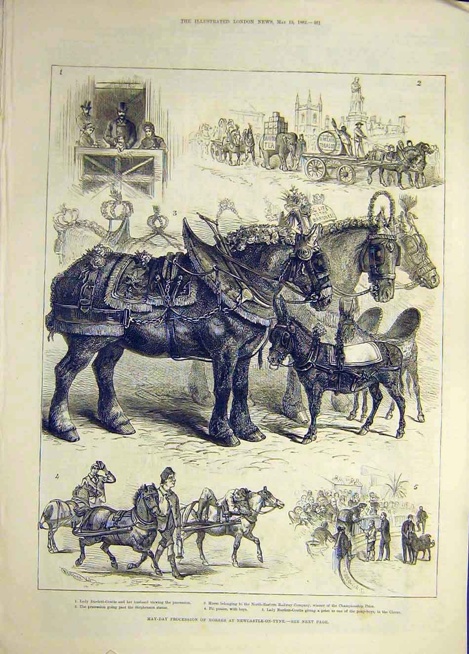 Original Old Antique Print 1882 May-Day Procession Horses Newcastle-On-Tyne 19th