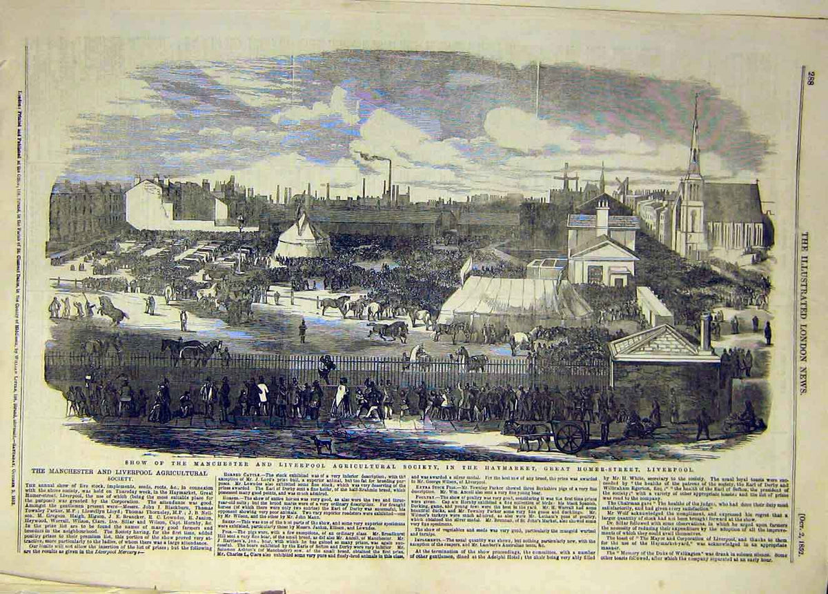 Original Old Antique Print 1852 Manchester Liverpool Agricultural Haymarket 19th