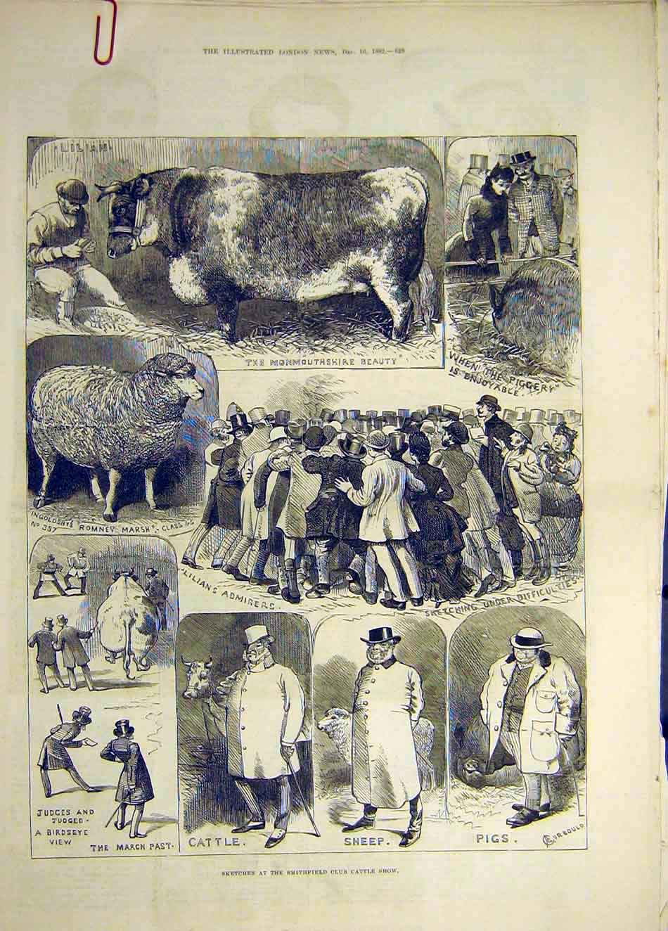 Original Old Antique Print 1882 Sketches Animal People Smithfield Cattle Sheep