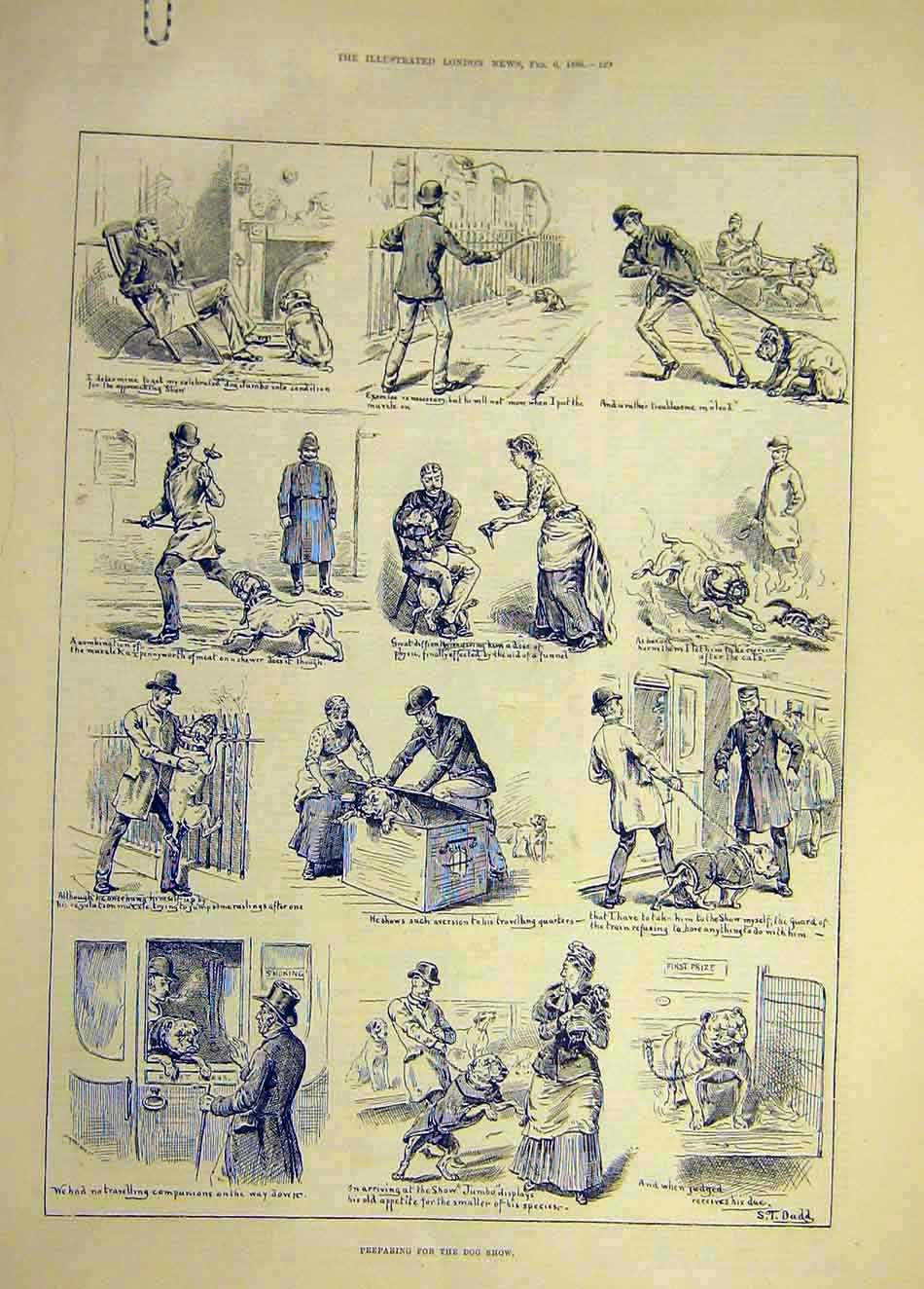 Original Old Antique Print 1886 Dog-Show Preparations Dadd Animal 19th
