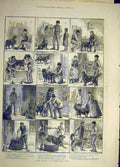 Original Old Antique Print 1888 Sketches Dadd Dog Pet-Shop Pound SAnimal Tail
