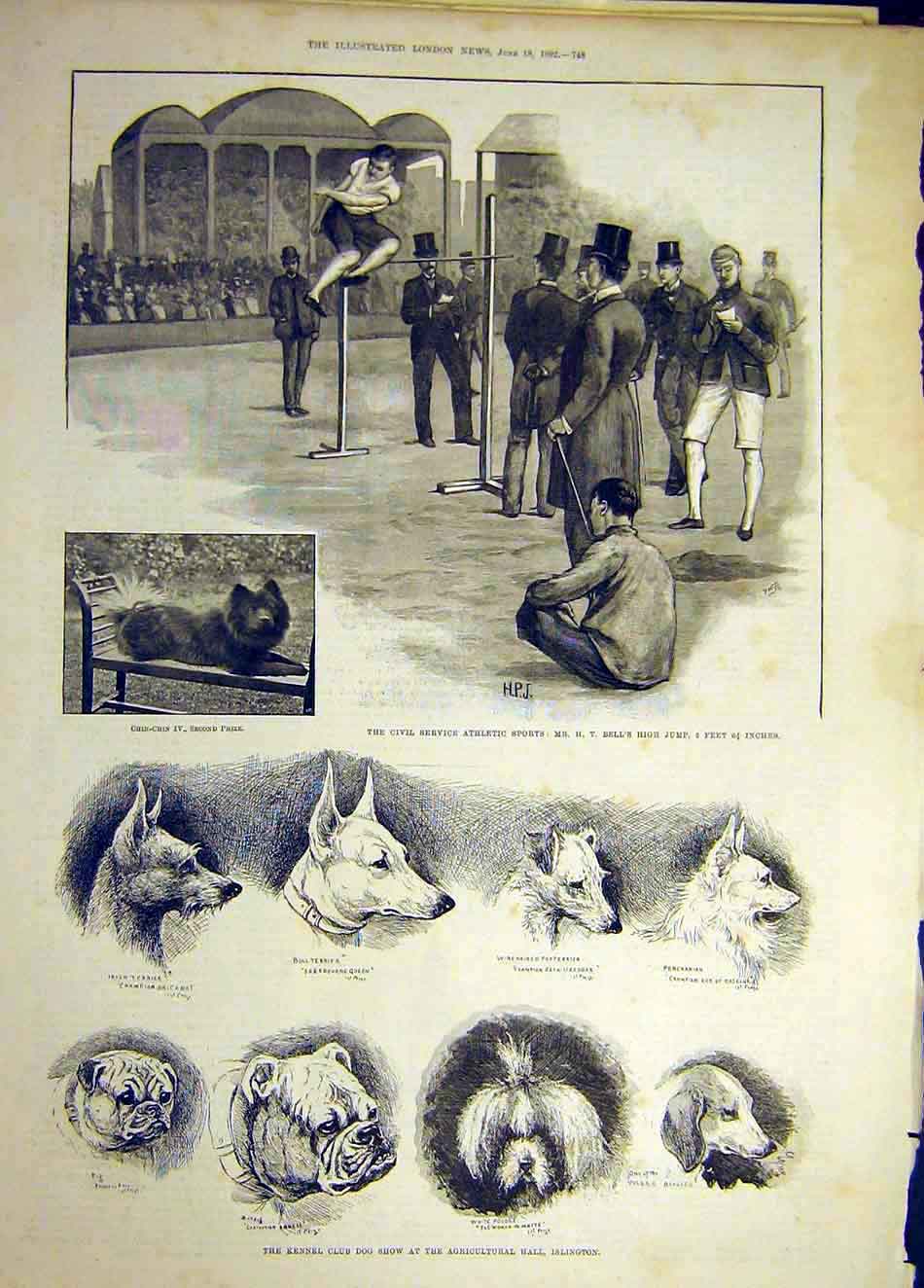 Old Antique Print 1892 Civil Service Athletic Sport Kennel Club Dog Show 19th
