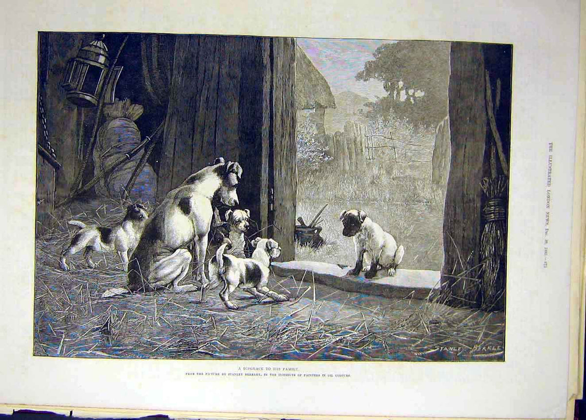 Original Old Antique Print 1885 Disgrace Puppy Berkley Fine Art Animal Victorian