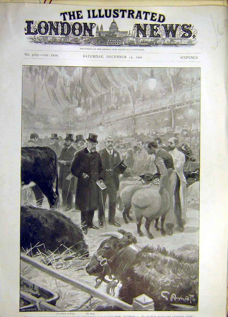 Original Old Antique Print 1901 King Prince Wales Smithfield Cattle Show Sheep