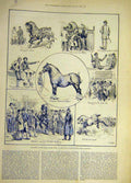Original Old Antique Print 1886 Sketches Shire Horse Show Islington Animal 19th
