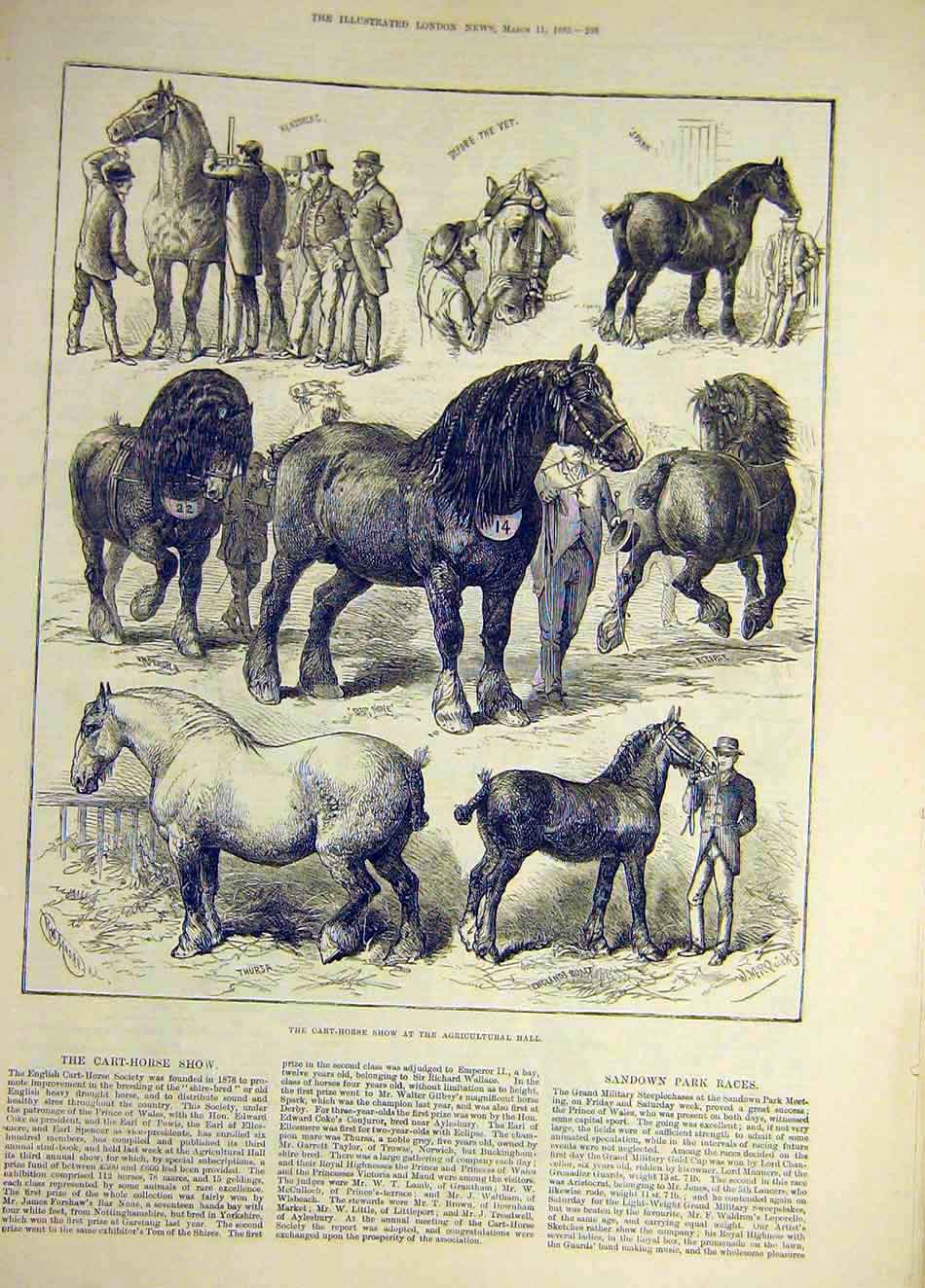 Original Old Antique Print 1882 Cart-Horse Show Agricultural Animal Victorian