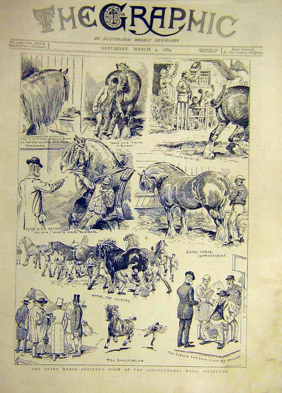 Original Old Antique Print 1889 Shire Hores Society Show Islington Agricultural