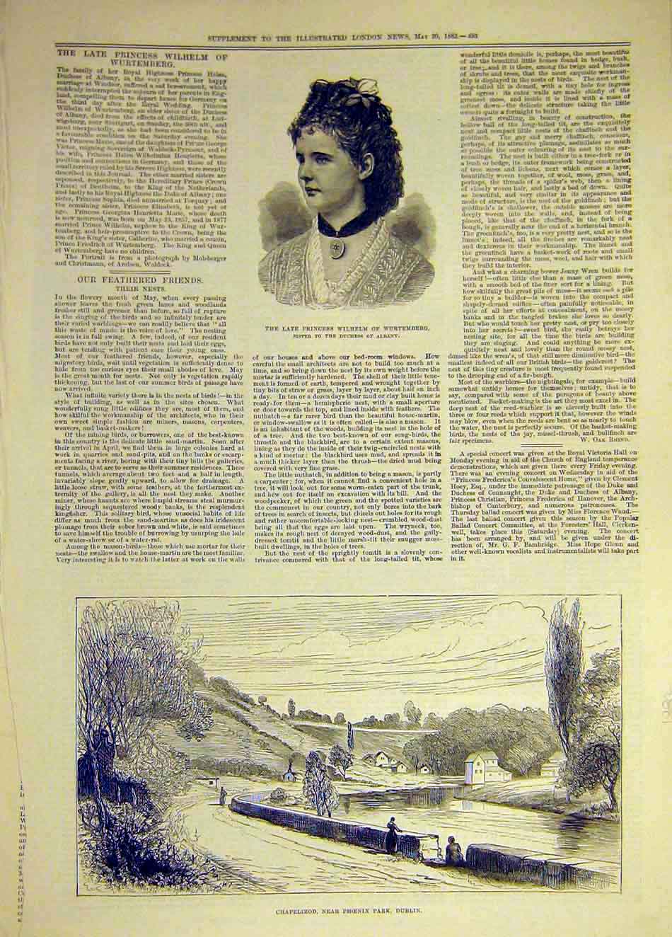 Original Old Antique Print 1882 Princee Wilhelm Wurtemberg Chapelizod Dublin