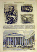Original Old Antique Print 1859 Steinbock Ibex Gries Borca Tomb Mausolus Museum