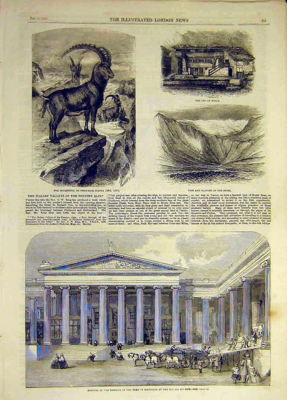 Original Old Antique Print 1859 Steinbock Ibex Gries Borca Tomb Mausolus Museum