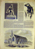 Original Old Antique Print 1859 Curler Anderson Statue Gorilla Church Doncaster