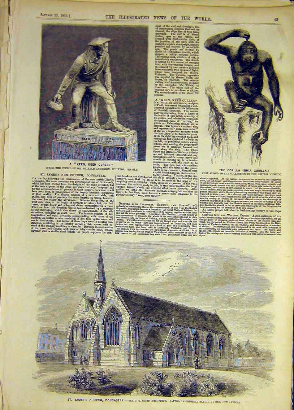 Original Old Antique Print 1859 Curler Anderson Statue Gorilla Church Doncaster