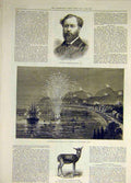 Old Antique Print 1882 Sleby Mentone Fireworks Fan Antelope Inniskilling 19th
