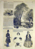 Old Antique Print 1853 Napoleon Hunting Compeigne Paris Fashion Knutsford 19th
