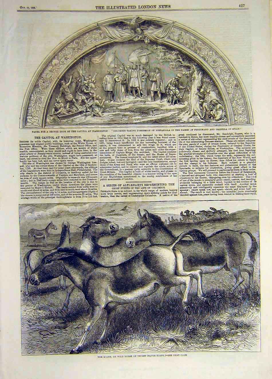 Original Old Antique Print 1859 Panel Bronze Washington Kiang Wild-Horse Thibet