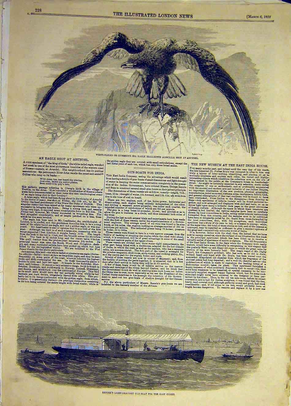 Original Old Antique Print 1858 Cinereous Eagle Arundel Rennie Draught Gun-Boat
