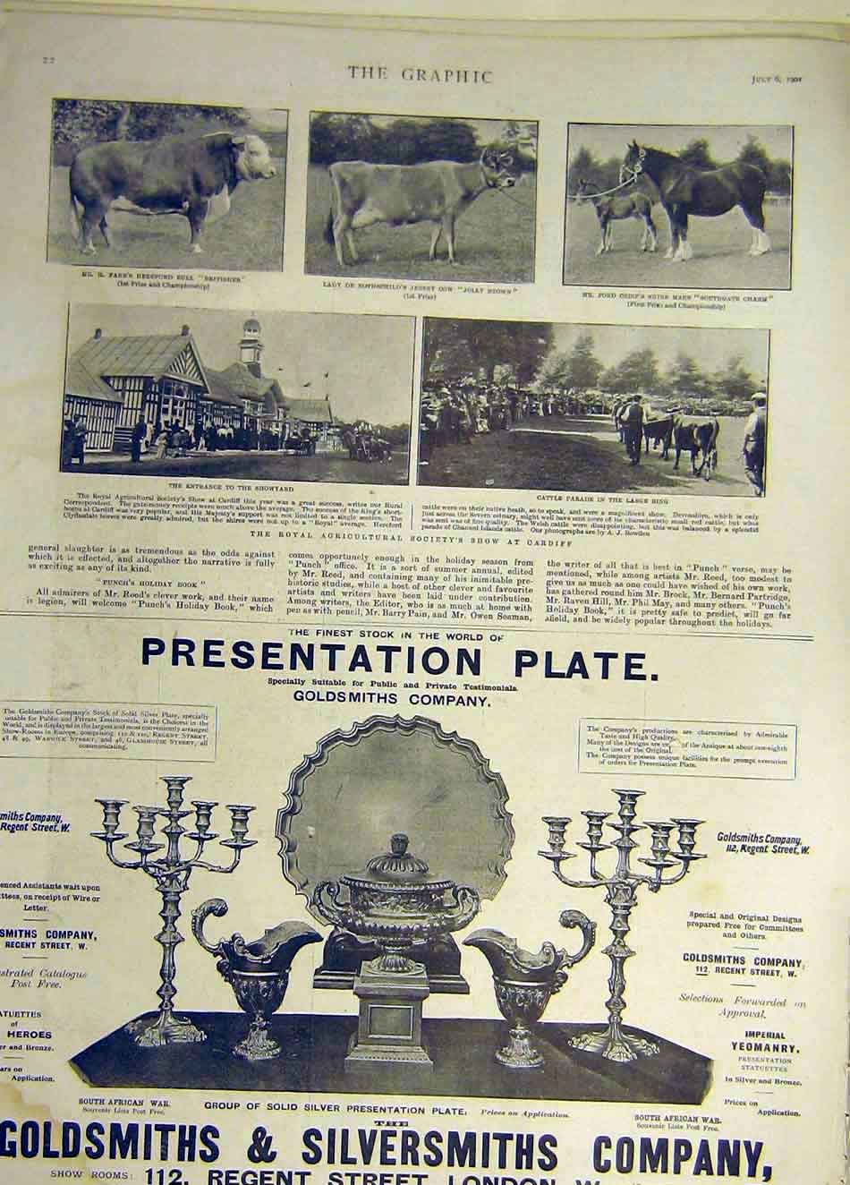 Old Antique Print 1901 Cattle Show Cardiff Hereford Bull Jersey Cow Shire 20th