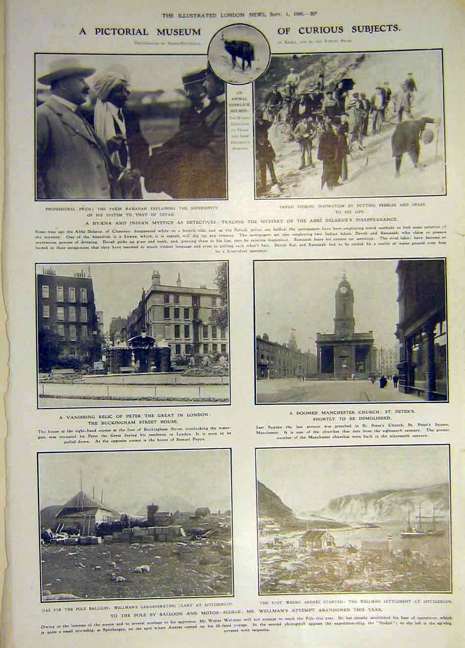 Original Old Antique Print 1906 Hyena Indian Mystic Wellman Manchester Church