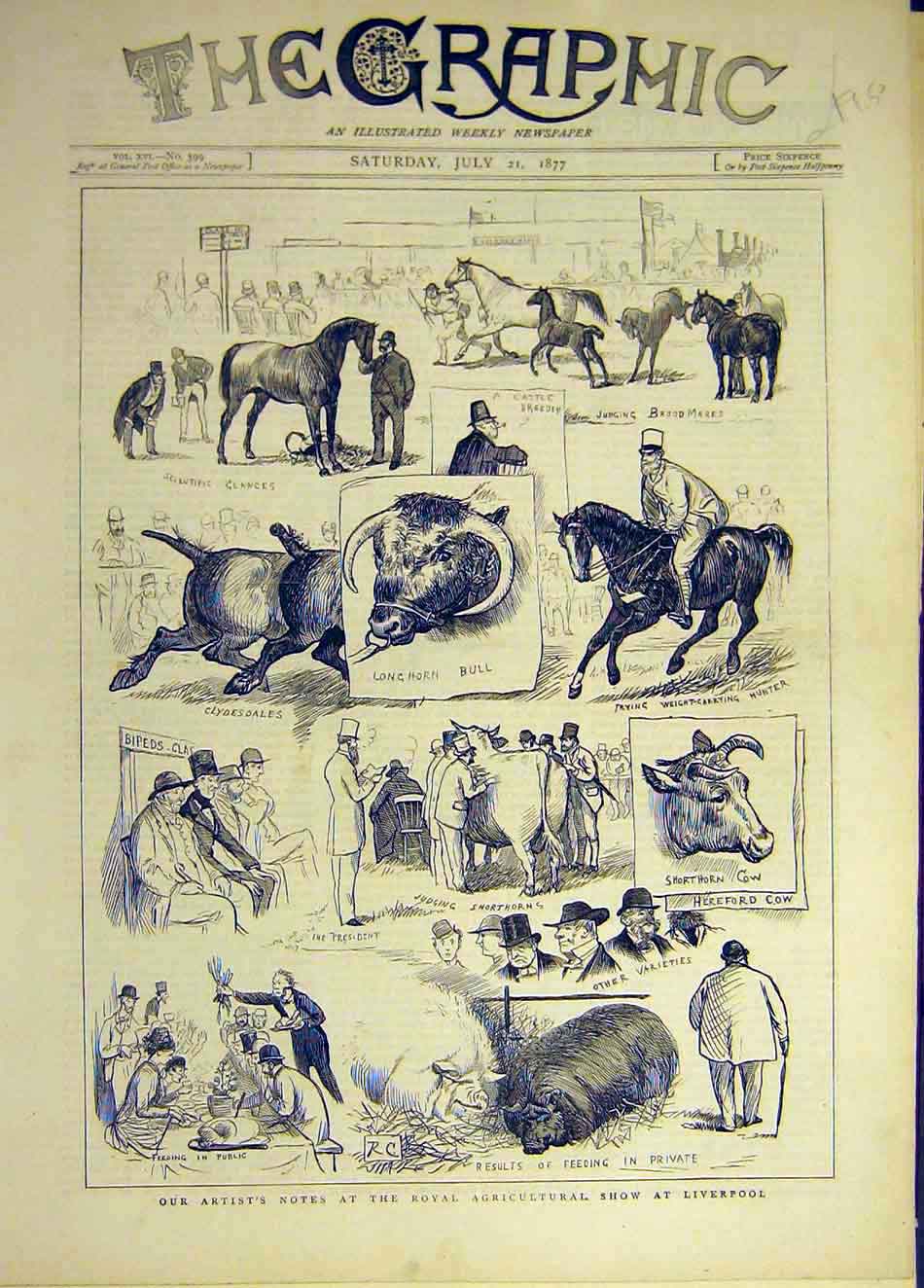 Old Antique Print 1877 Royal Agricultural Show Liverpool Sketches Animal 19th