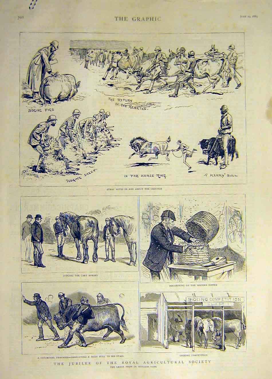 Original Old Antique Print 1889 Royal Agricultural Society Jubilee Show Windsor