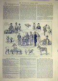 Original Old Antique Print 1888 Pony Donkey Show People'S Palace Whitechapel