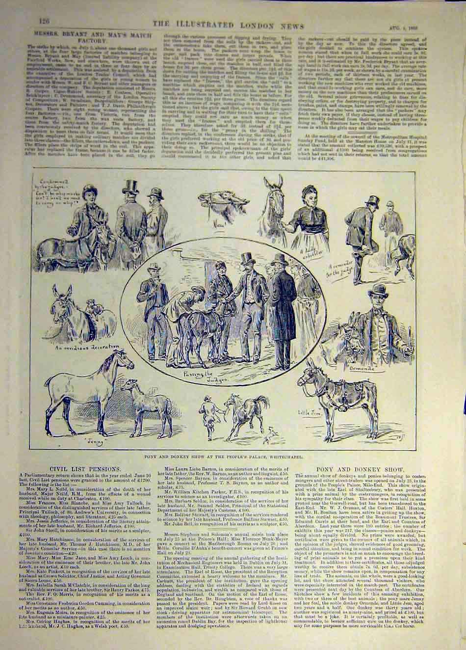 Original Old Antique Print 1888 Pony Donkey Show People'S Palace Whitechapel