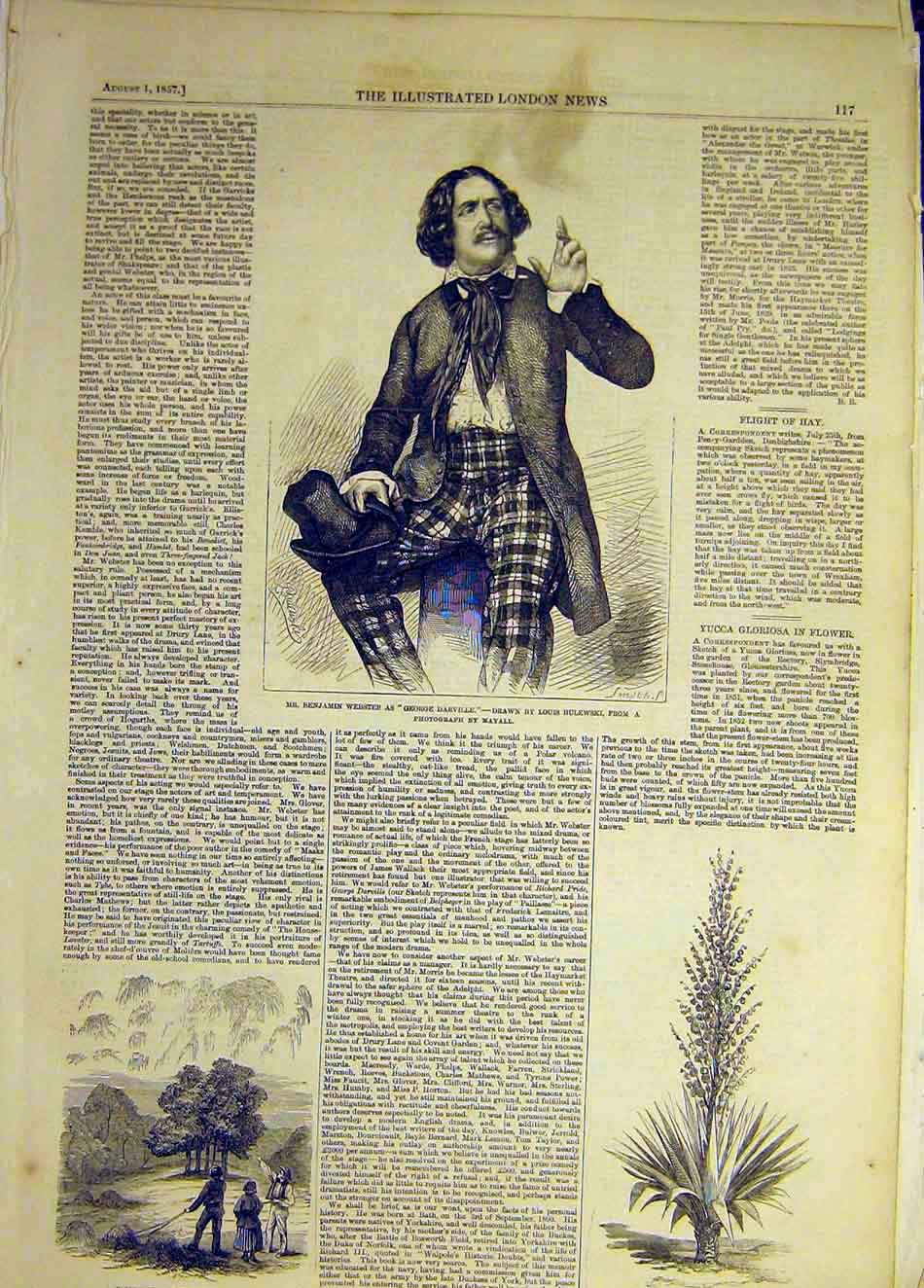 Original Old Antique Print 1857 Webster Actor Bulewski Hay Denbighshire Yucca