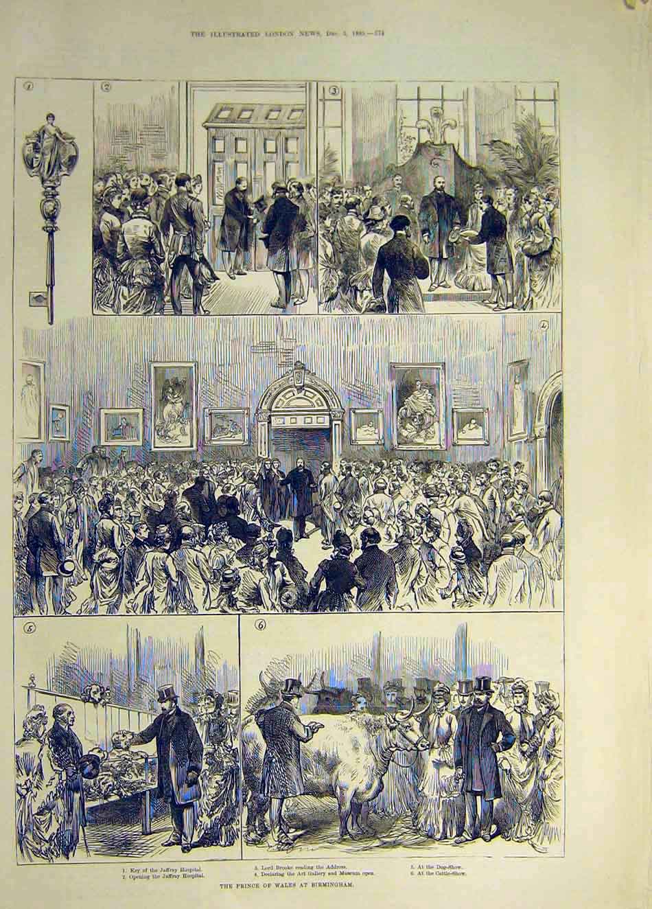 Original Old Antique Print 1885 Prince Wales Birmingham Jaffray Hospital Cattle
