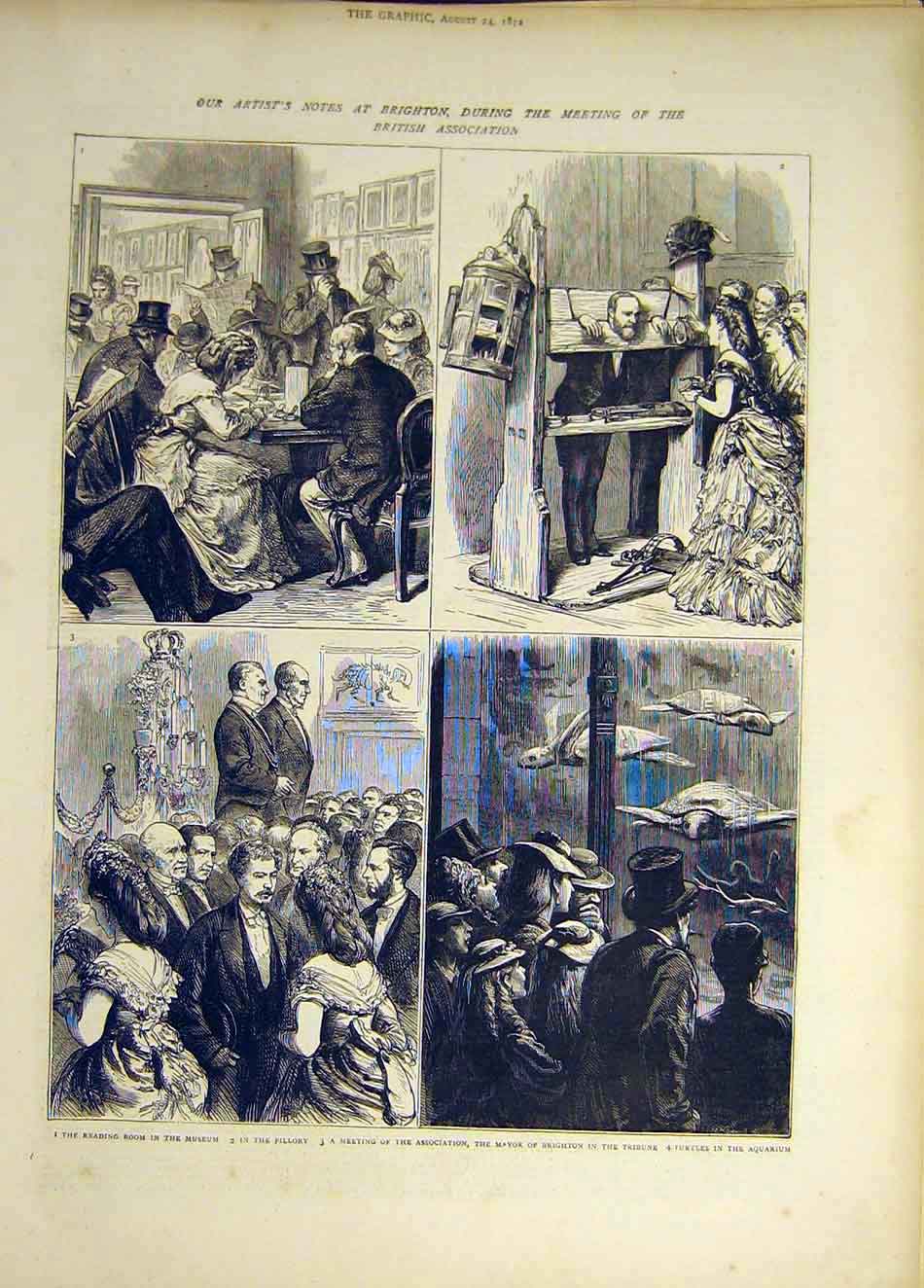 Old Antique Print 1872 Brighton Sketches British Association Museum Mayor 19th