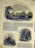 Original Old Antique Print 1852 Strathfieldsay Wellington Building Tree Garden