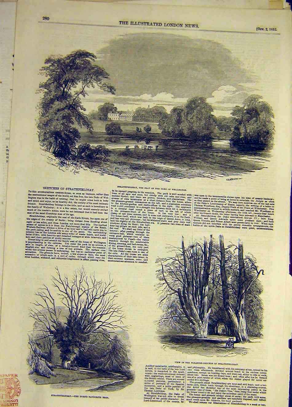 Original Old Antique Print 1852 Strathfieldsay Wellington Building Tree Garden