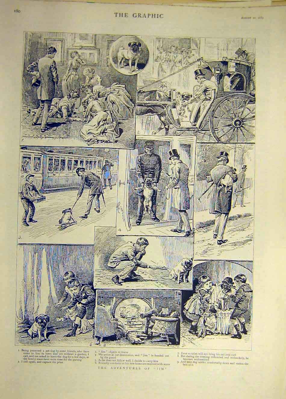 Original Old Antique Print 1889 Jim Adventures Sketches Dog Tales Story 19th