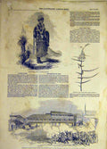 Original Old Antique Print 1852 Kaffir Queen Bush Africa Chili Troops Insurgents