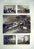 Original Old Antique Print 1901 Pictures Royal Academy Landscapes Sea Fine Art