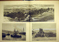Old Antique Print 1884 Prince Wales Newcastle-On-Tyne Armstrong Harbour 19th