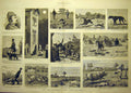 Old Antique Print 1882 Plantagenet Trot Dogs Keeper Pointer Pigs Animal 19th