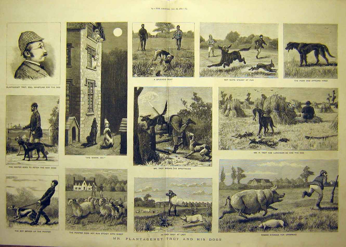 Old Antique Print 1882 Plantagenet Trot Dogs Keeper Pointer Pigs Animal 19th