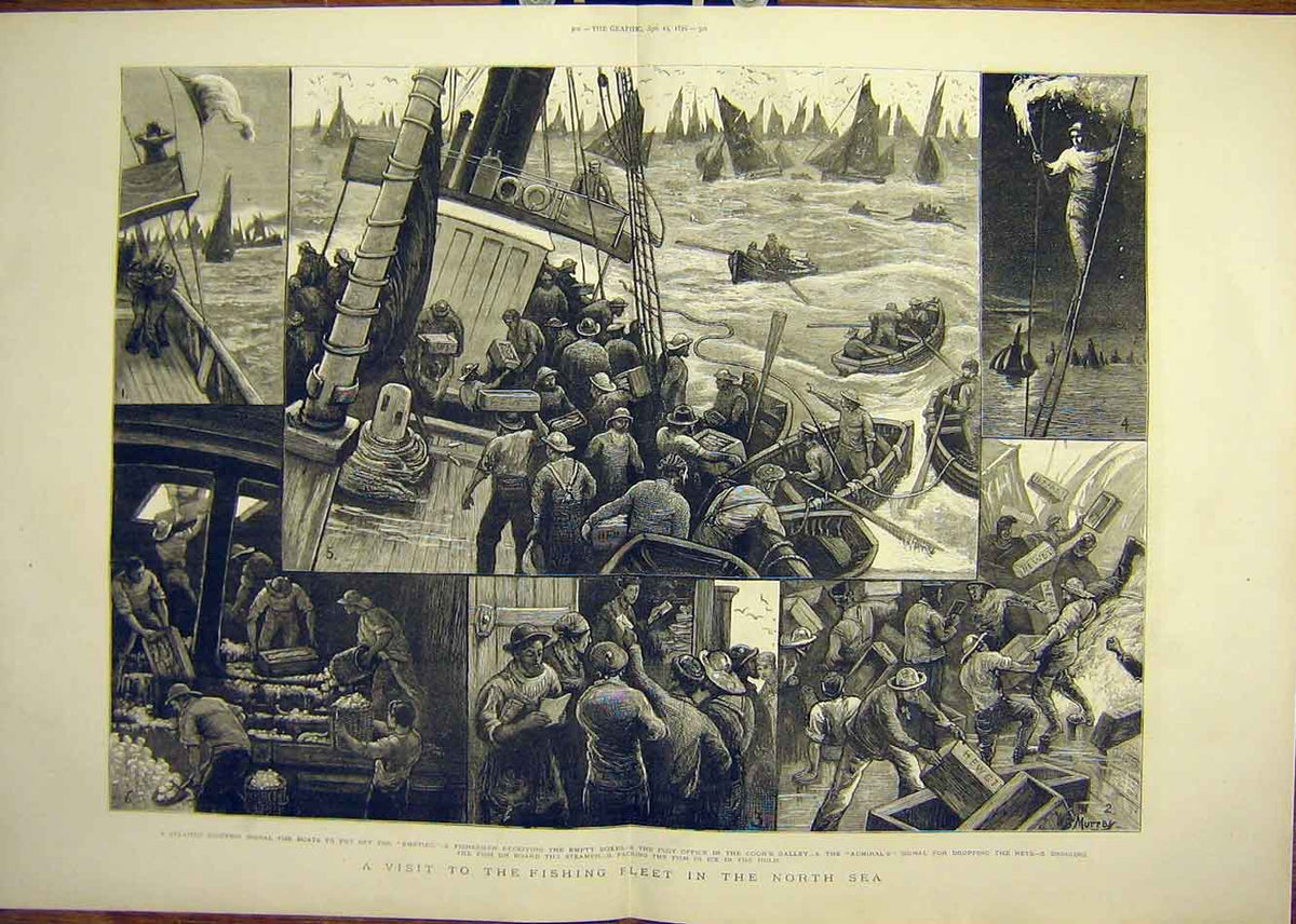 Original Old Antique Print 1876 North-Sea Fishing Fleet Fishermen Boats Murray