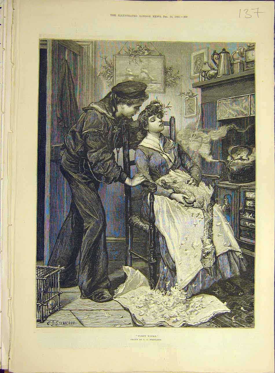 Original Old Antique Print 1882 Forty-Winks Sland Lady Goose Dinner Mistletoe
