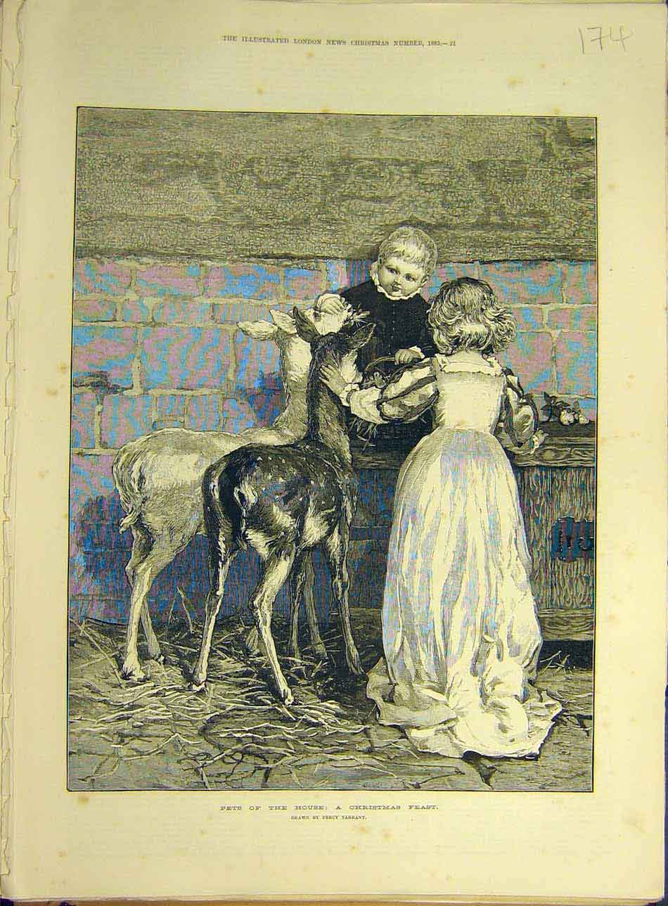 Original Old Antique Print 1883 Pets House Christmas Feast Tarrant Children 19th