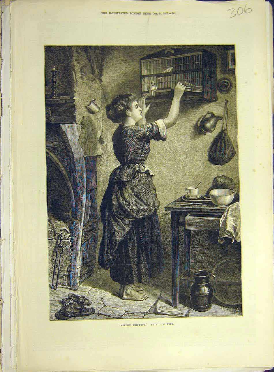 Original Old Antique Print 1876 Feeding Pets Fyfe Girl Lady Woman Birds Cage